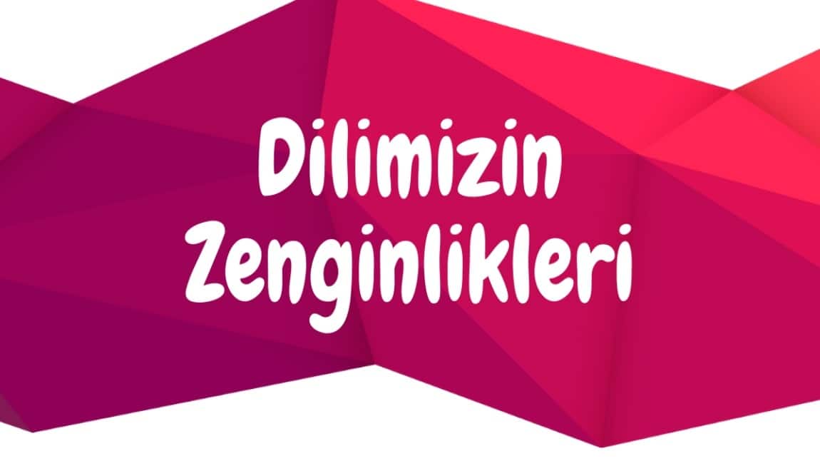 DİLİMİZİN ZENGİNLİKLERİ